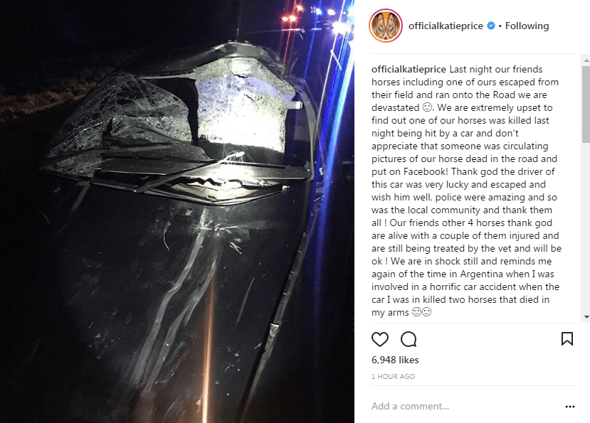 She posted a shot of mangled wreckage after one of her horses was killed on the road