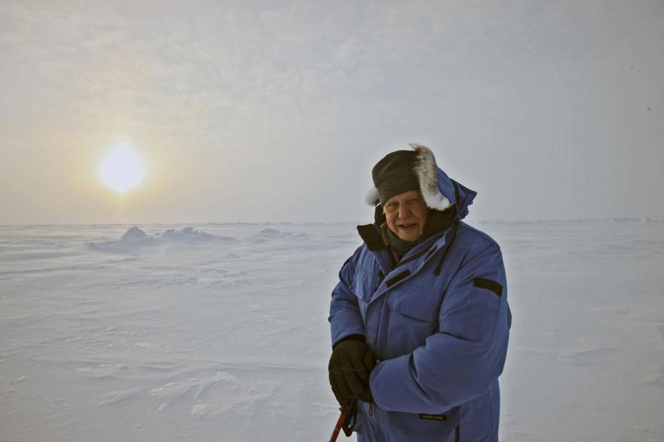  2011: Frozen Planet...Travelling to the ends of the Earth and touching on issue of climate change in Arctic and Antarctic