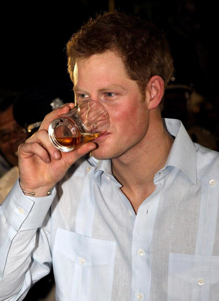  Prince Harry will have to rein himself in on the stag so he doesn't distract from the big day, a former royal aide has said