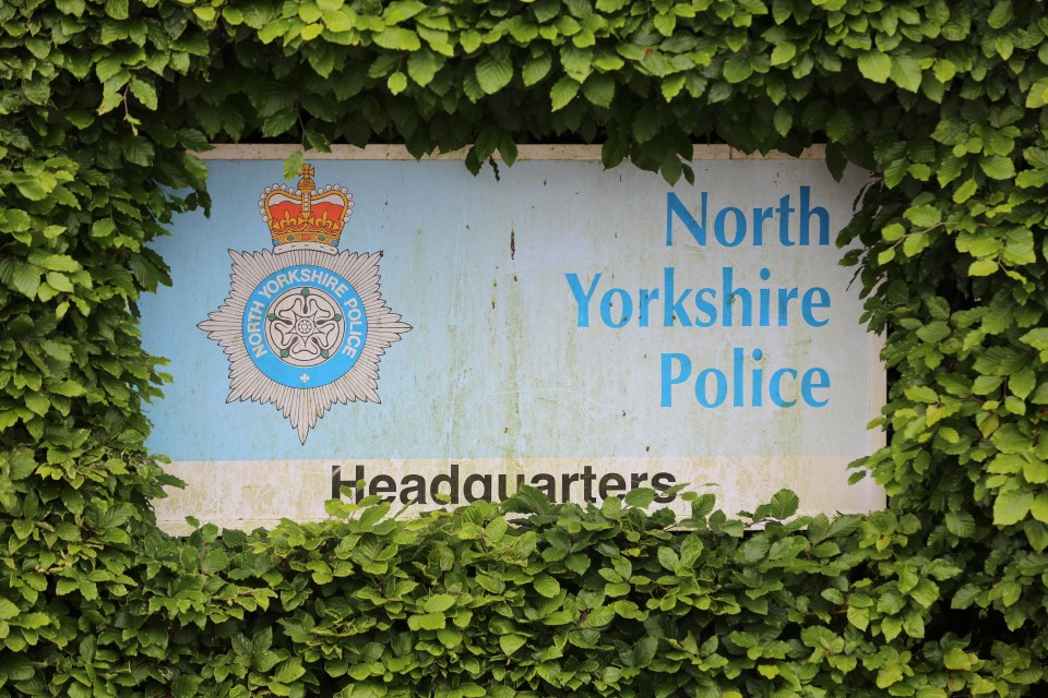 The boys were arrested on Saturday October 28 as part of an intelligence led investigation, supported by North Yorkshire Police