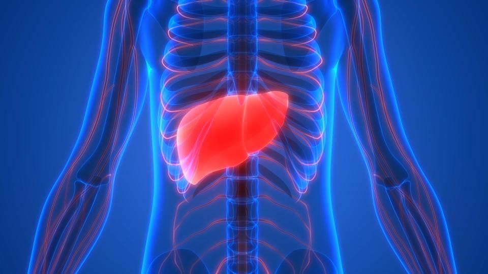  If your breath smells like rotting flesh it could also indicate a liver problem