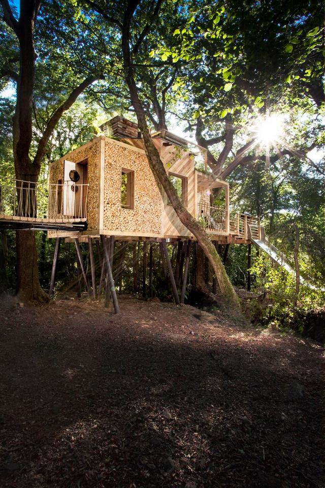  The Woodsman Treehouse is not actually attached to any of the great oaks surrounding it, but is instead supported by stilts