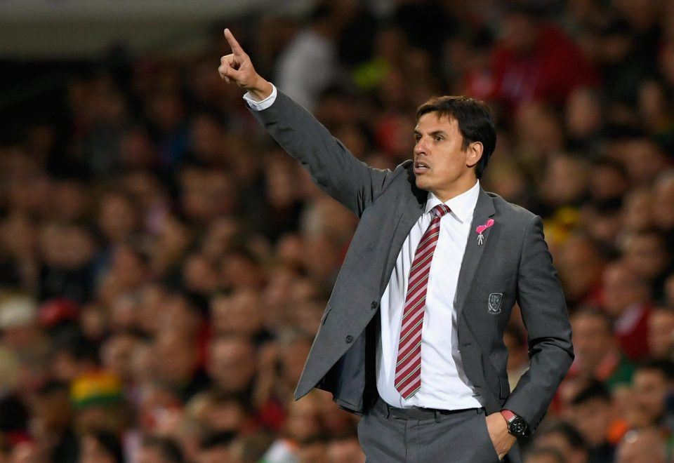  Chris Coleman is reportedly keen to stay on until 2020