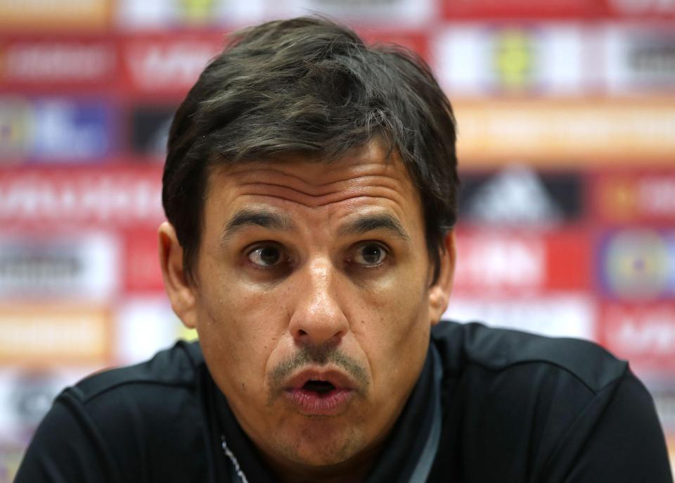  Chris Coleman had said the World Cup qualifying campaign would be his last as manager