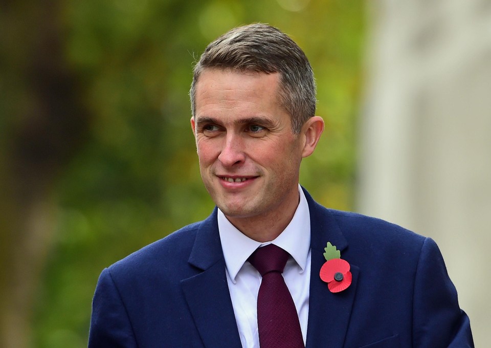 Chief Whip Gavin Williamson is the shock decision to be the new Defence Secretary