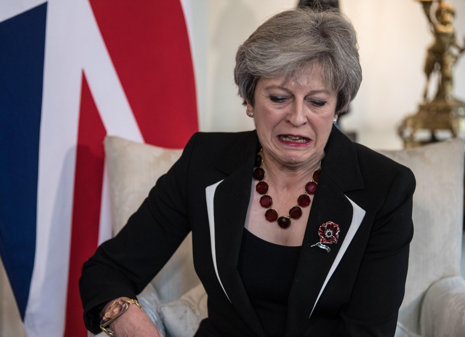 Prime Minister Theresa May has faced backlash from members of her party after the shock appointment