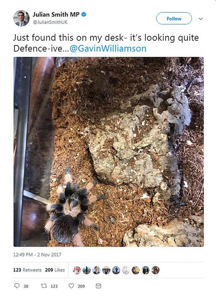 Gavin Williamson, 41, is likely to take his pet tarantula to the Ministry of Defence