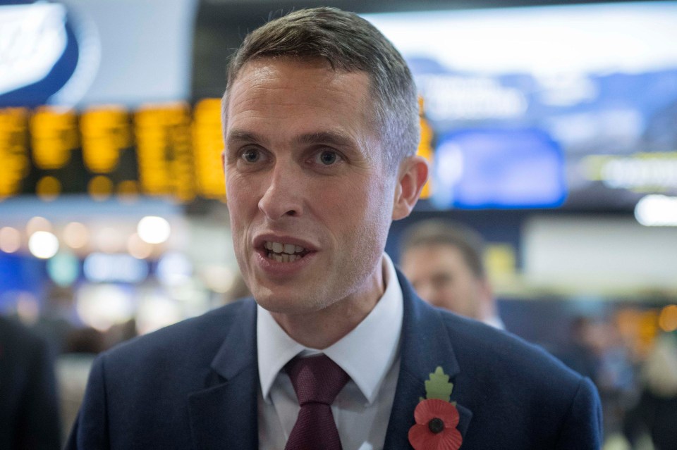 Mr Williamson's new role has reportedly angered fellow Tory party members