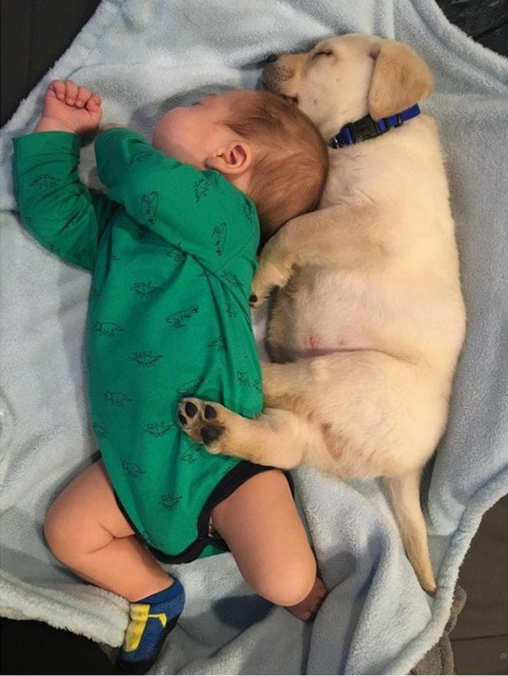  A cute family snap shows a baby cuddling with its furry friend