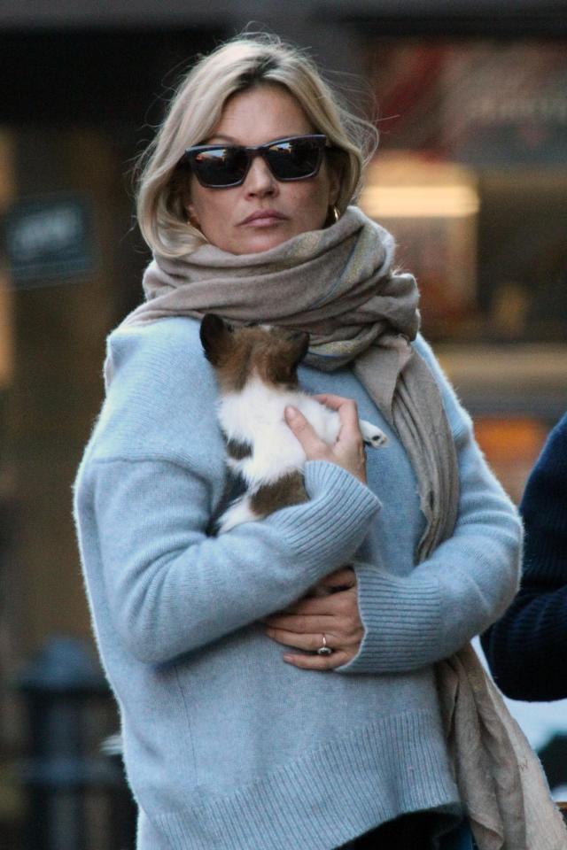  Kate Moss cuts a stylish figure in London as she shops for dog bed with new pup