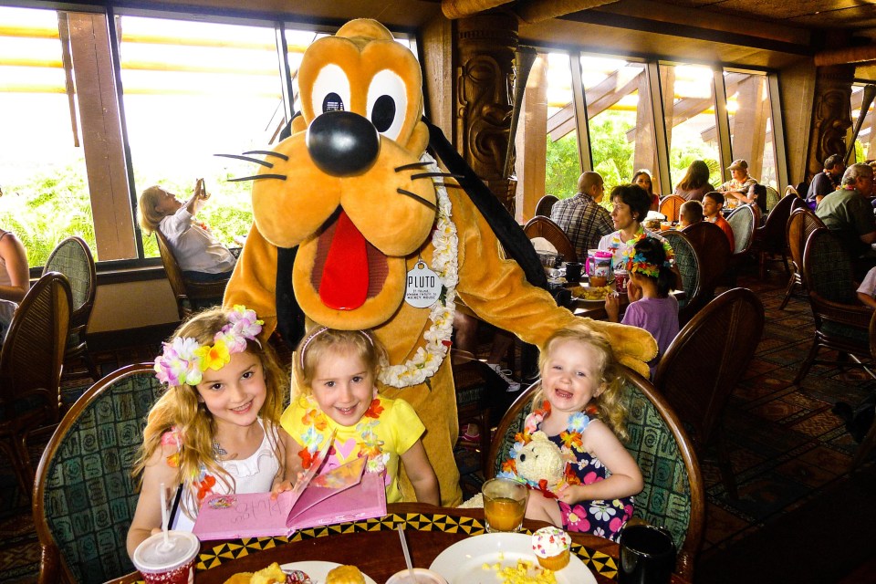 Guests can choose to dine on lobster, steak, salads or anything else, whether they are at their Disney hotel, Disney Springs or at any of the six Disney parks