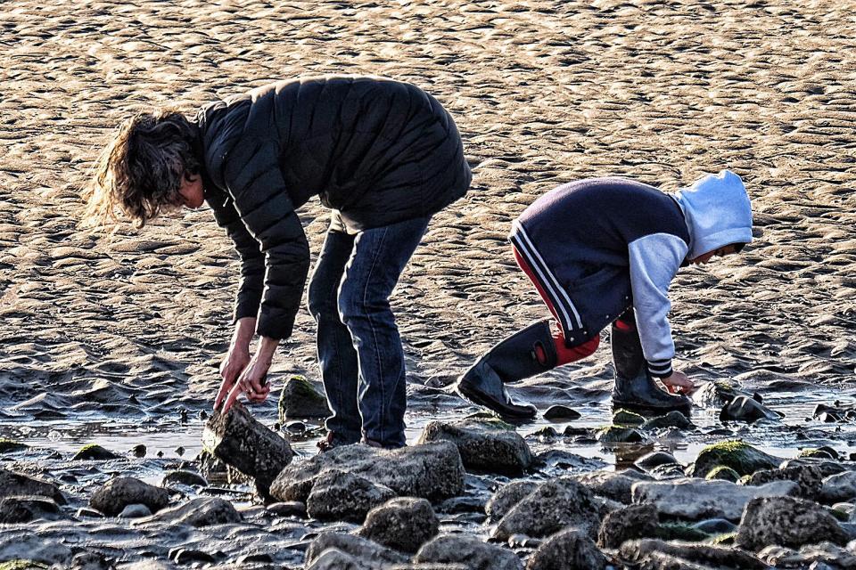  Sam even brought ropes and a genetic testing kit in a bid to snare the beast