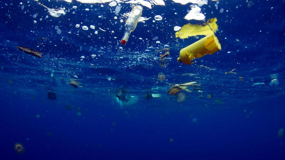  Up to  12 million tonnes of plastic ends up in oceans every year — equating to a rubbish truck full every minute