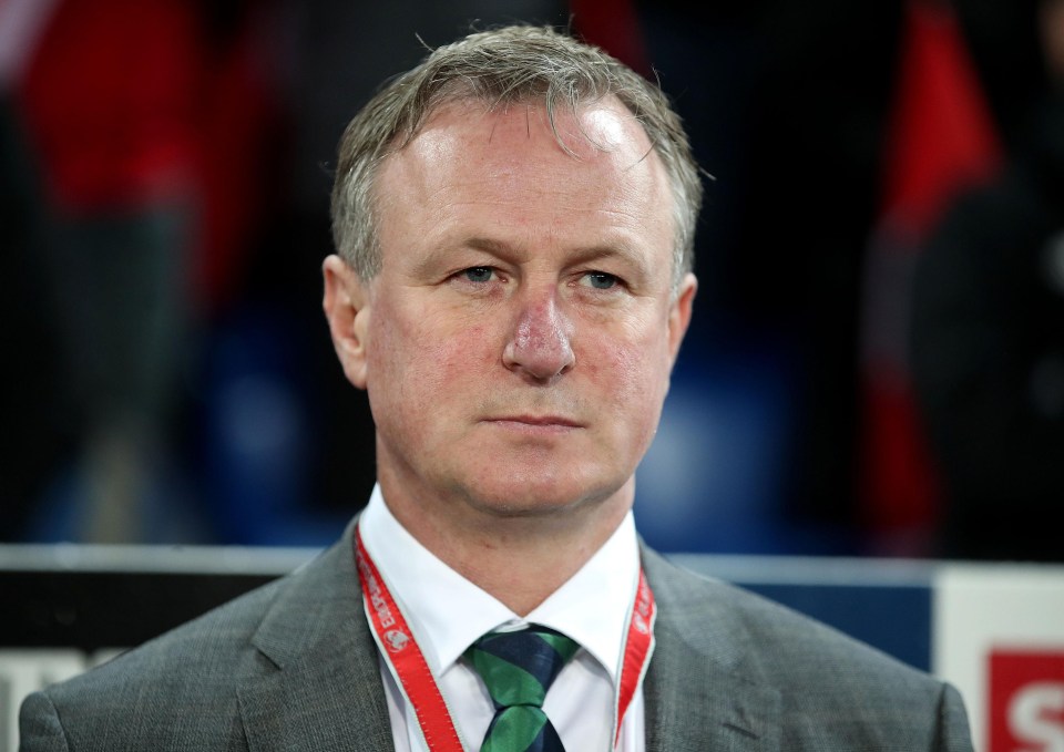 Michael O’Neill has rejected the chance to take over at Sunderland