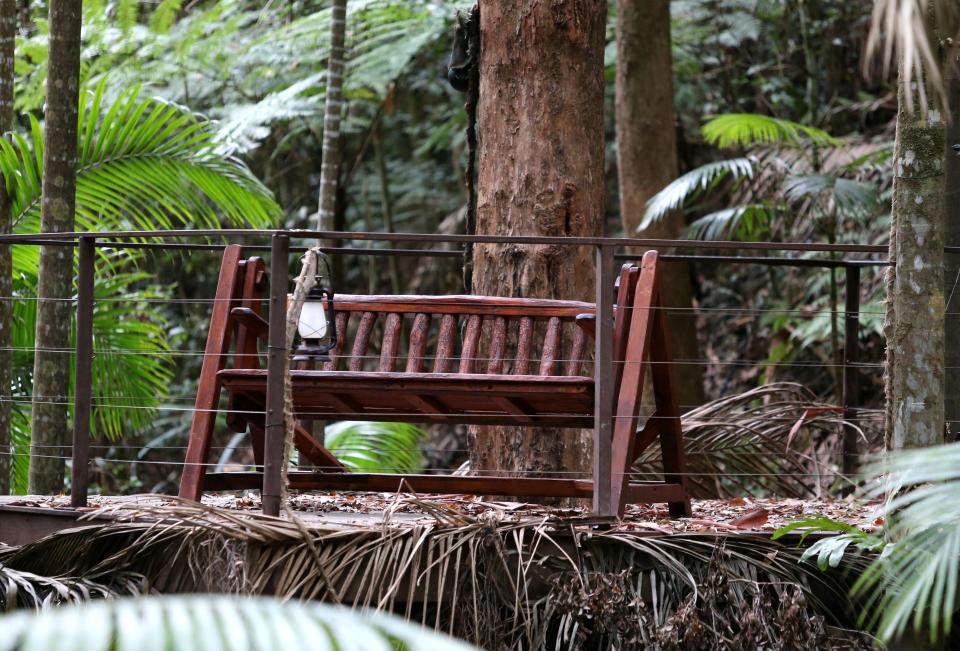  Producers are keen for a jungle romance as a romantic love seat has also been installed this year