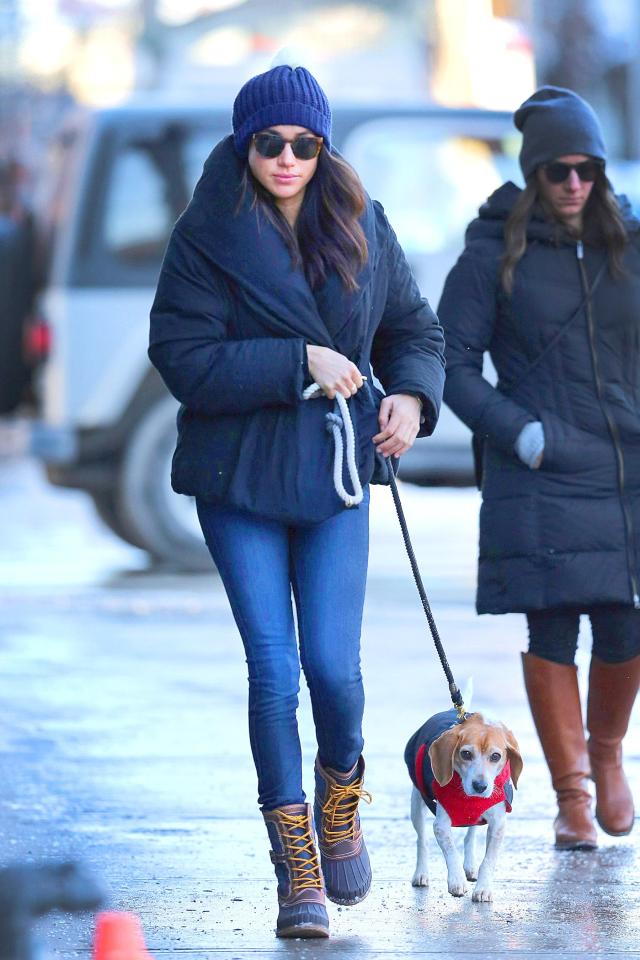  Meghan Markle spotted taking her dog Bogart to the Animal Hospital