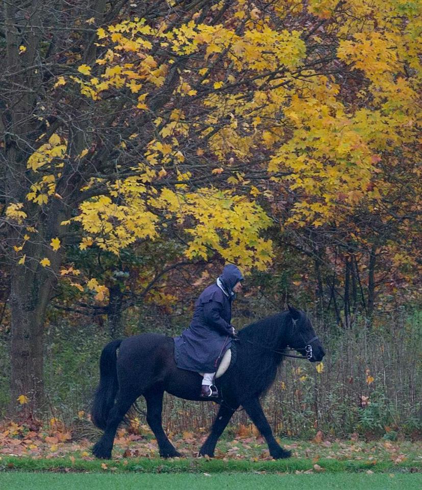  Earlier this week the Queen was spotted horse riding in the grounds of Windsor Castle