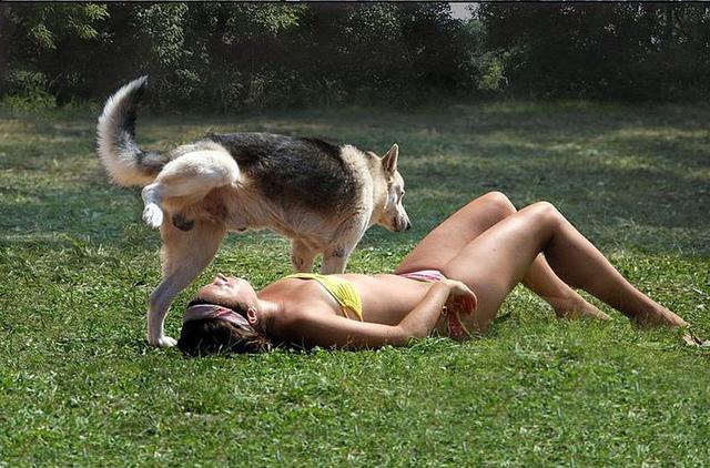  Sunbather gets a nasty surprise from a cheeky Alsatian