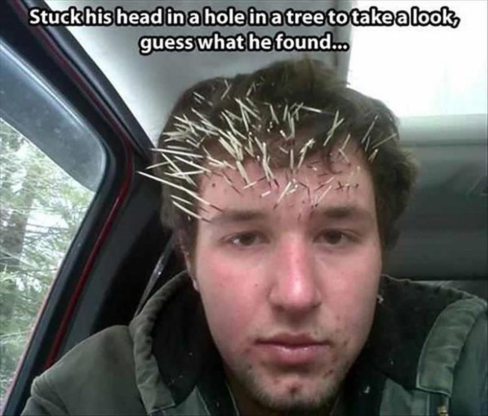  That'll teach him not to stick his head in holes