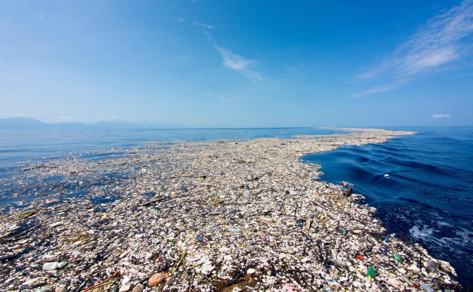  Underwater photographer Caroline Power found the plastic blanket of forks, bottles and rubbish 15 miles off the coast