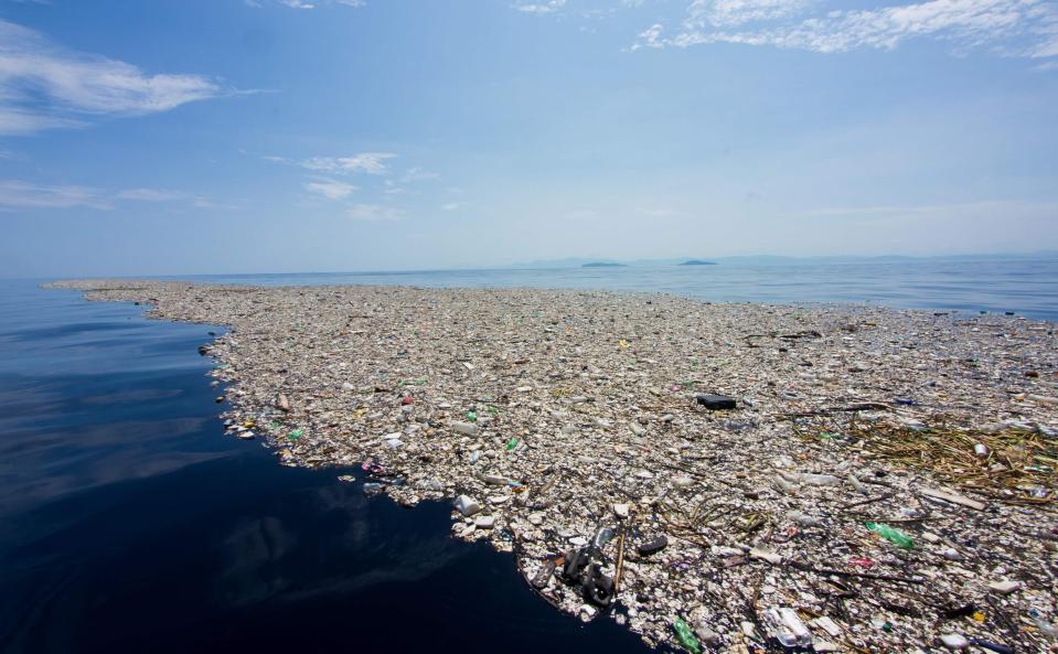  Marine biologists fear that much of the garbage sinks to the seabed, damaging underwater fauna