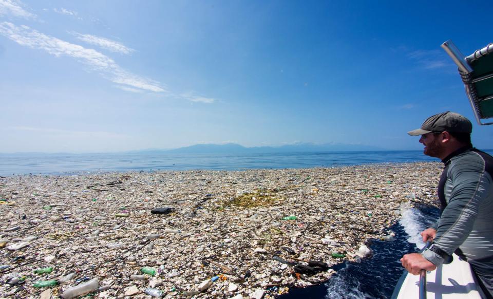  Researchers have found fish, even turtles up to a meter wide, dead after ingesting these plastics