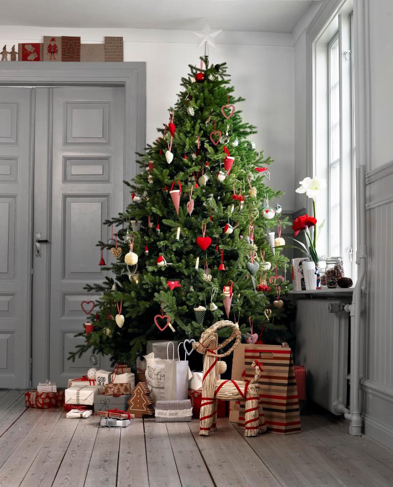  Ikea’s Christmas trees are of the Nordman Fir variety - they usually cost around £40