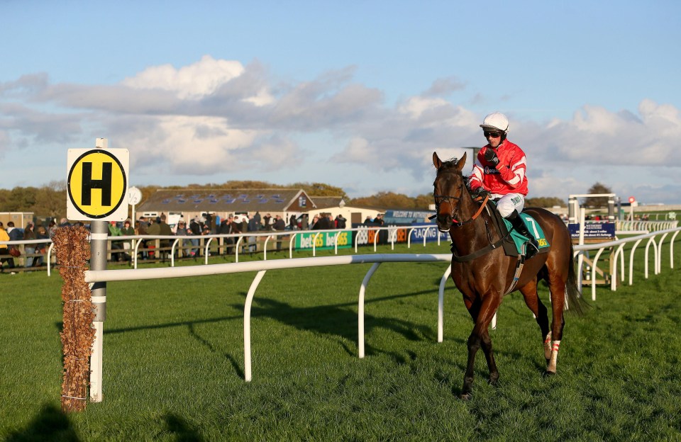 Coneygree was pulled up in the Charlie Hall Chase