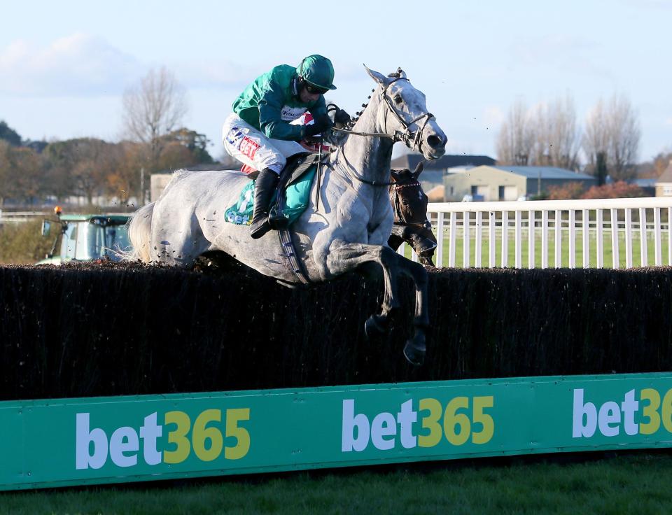  Bristol De Mai was impressive when winning the Betfair Chase