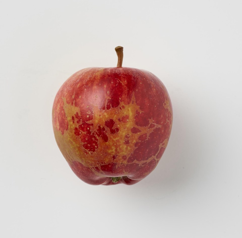 Unusually low temperatures earlier this year caused some apples to feature slight blemishes to their skins only with no effect on eating quality.