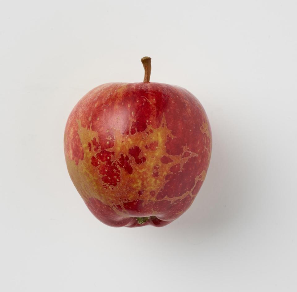  Unusually low temperatures earlier this year caused some apples to feature slight blemishes to their skins only with no effect on eating quality.