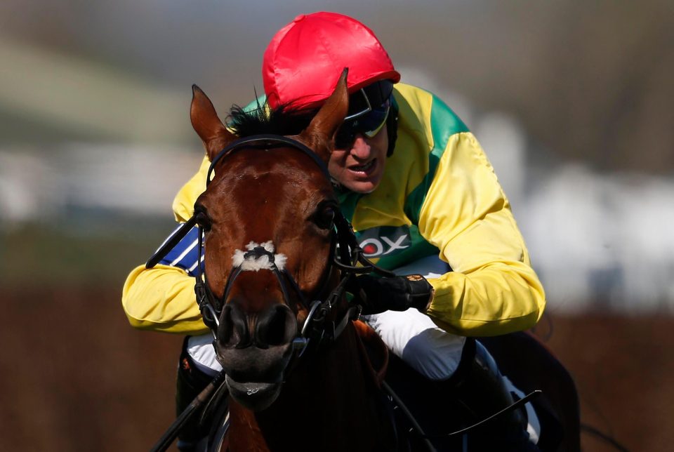  Colin Tizzard sees Sizing Codelco as a future Grand National horse