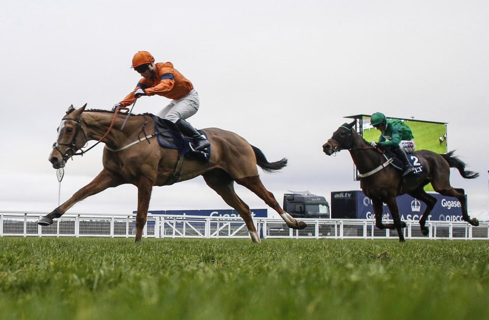  Sam Spinner is the current favourite for the Sun Bets Stayers' Hurdle