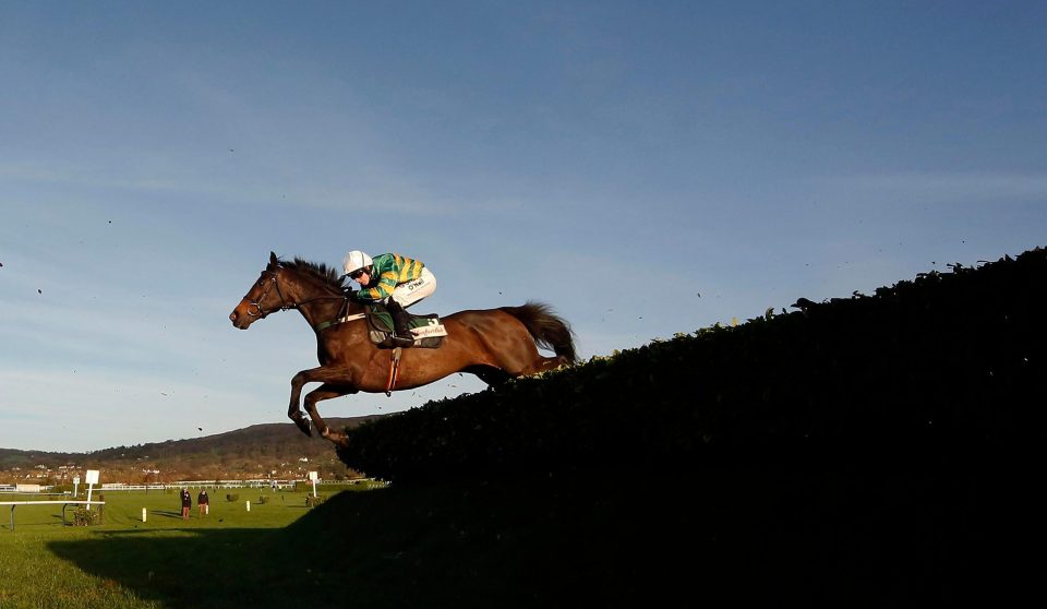  Dual course winner Josies Orders looking for another Cross Country win at Cheltenham