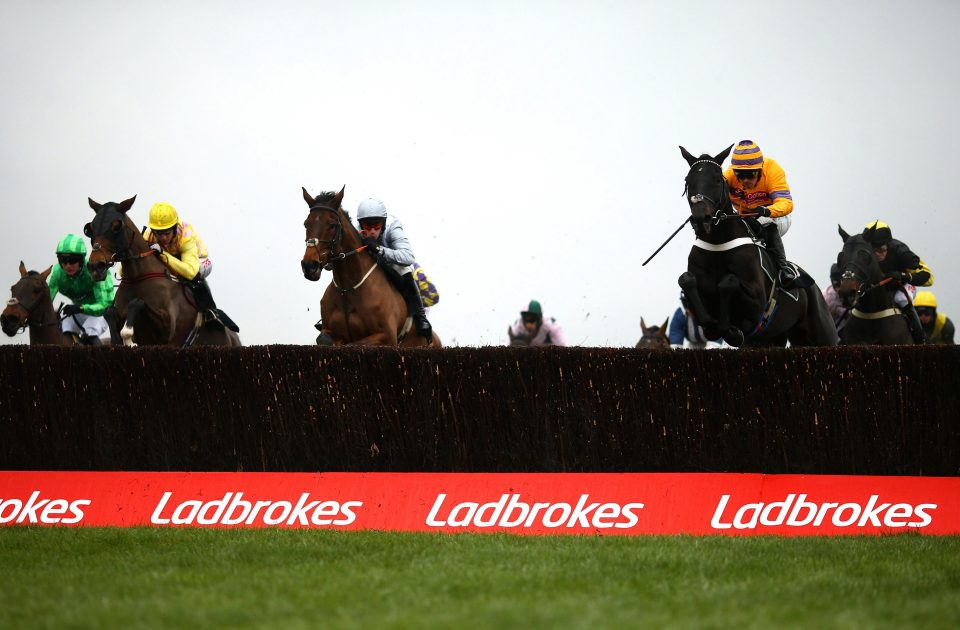  Nico de Boinville won on Gold Present at Newbury earlier this season (right)