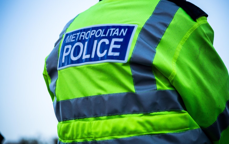 The Metropolitan Police raided Damian Green’s office in 2008