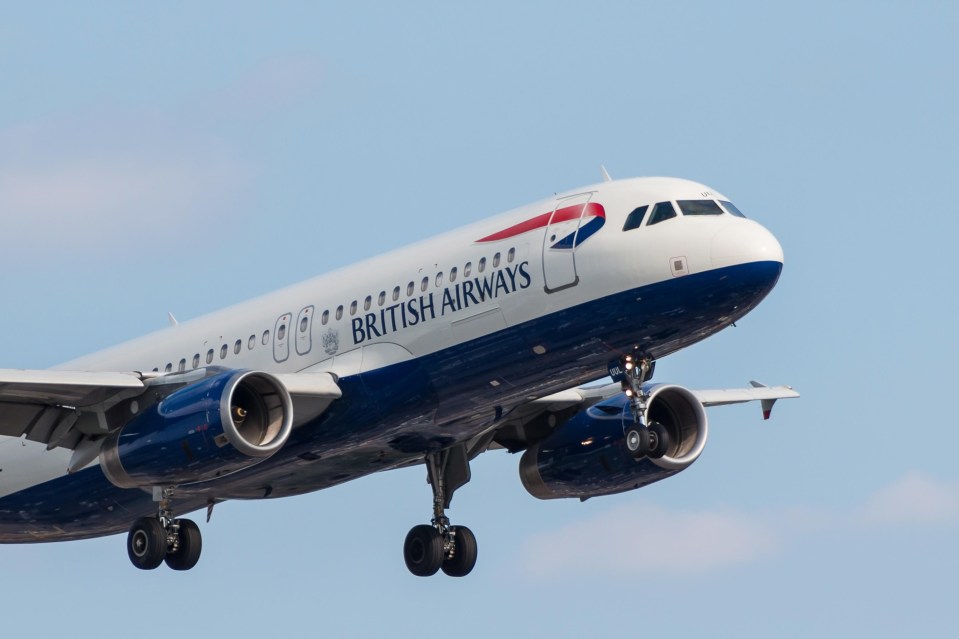 British Airways named among huge companies that spied on political groups