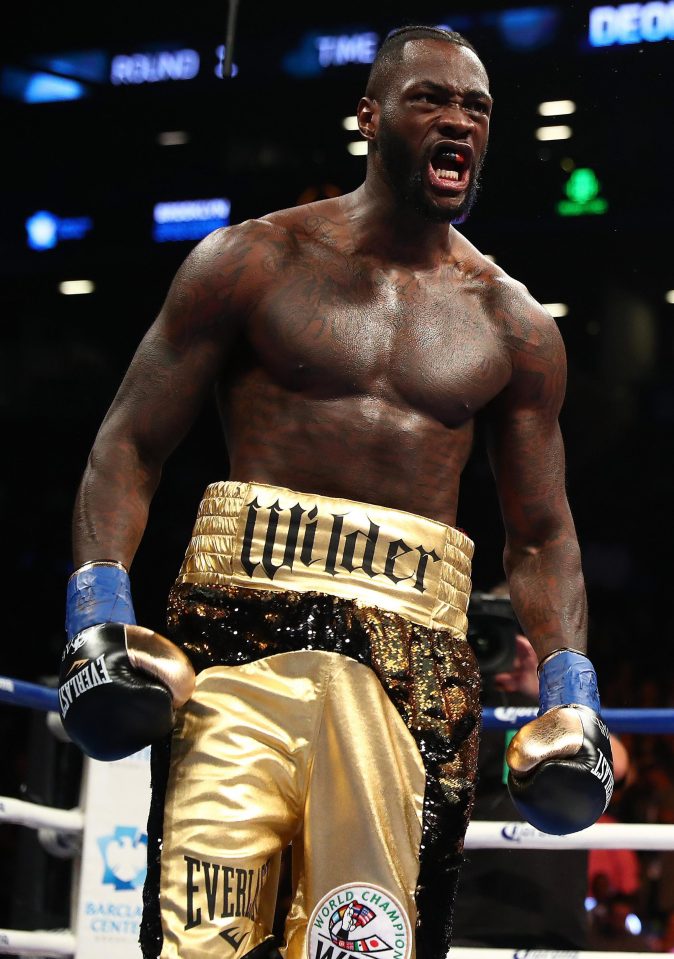  WBC world champ Wilder has agreed to fight Luis Ortiz