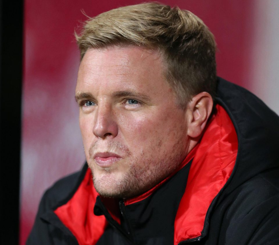  Eddie Howe's Bournemouth have got two draws in their last two but remain three points above the relegation zone