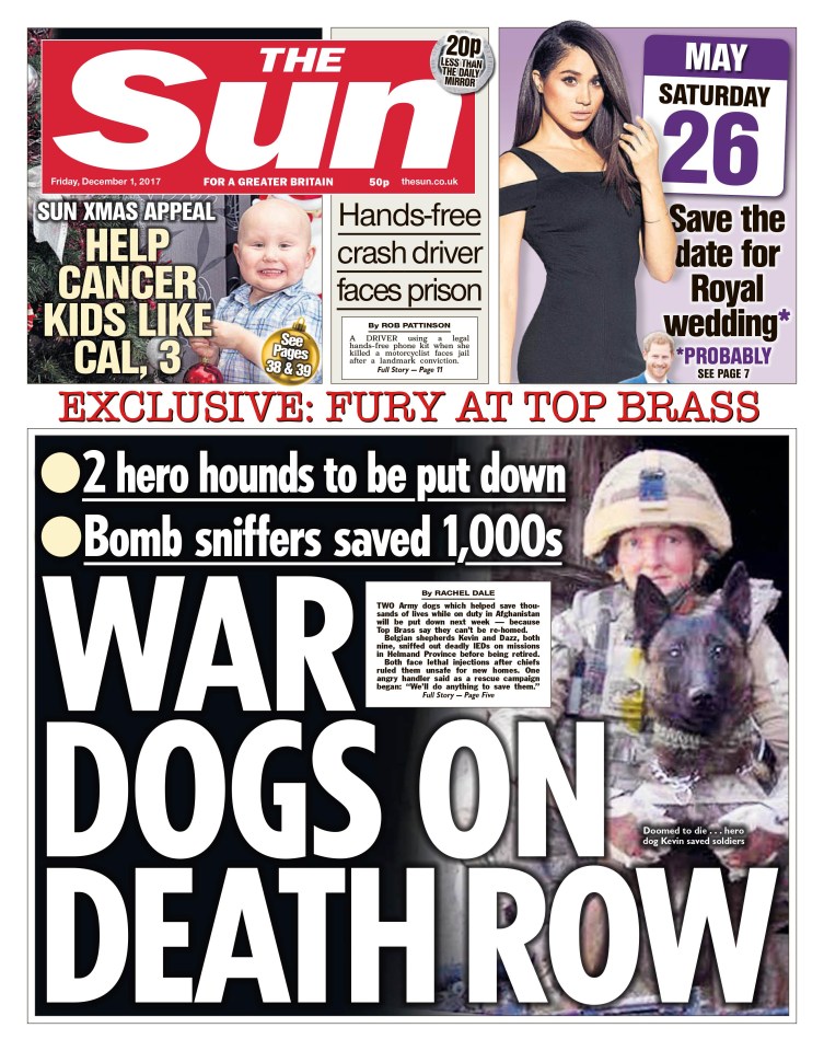 The Sun is campaigning to save the lives of the hero hounds