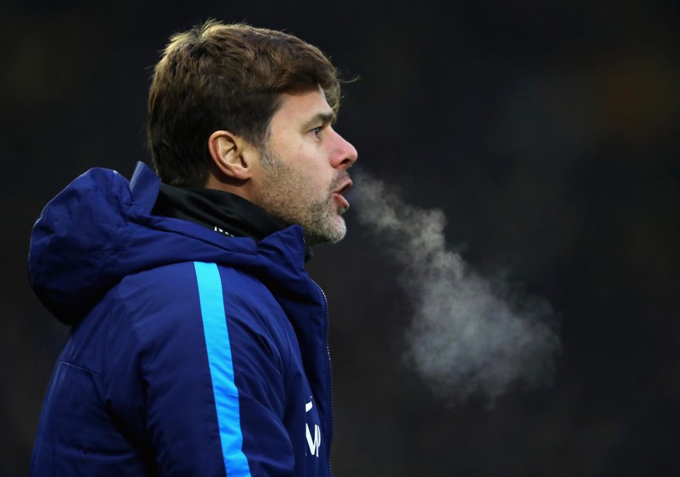  Mauricio Pochettino will be fuming that his player was sent off