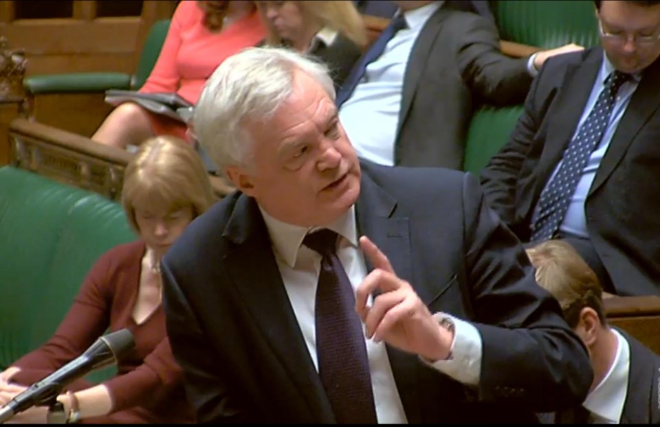 David Davis suggests whole of UK will follow key EU rules post-Brexit