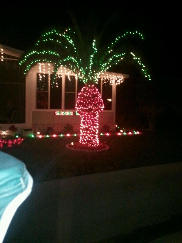  This palm tree festooned with lights creates an unfortunate outline