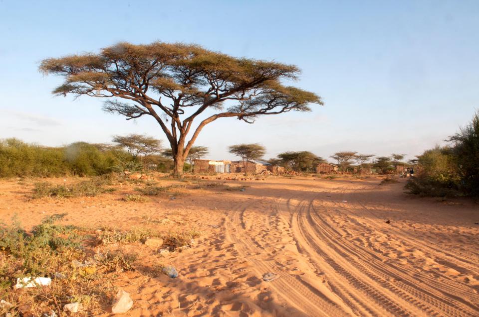  Sources claim there has been tension between the two groups when they were completing the same exercise in Archer's Post base in Kenya two years ago