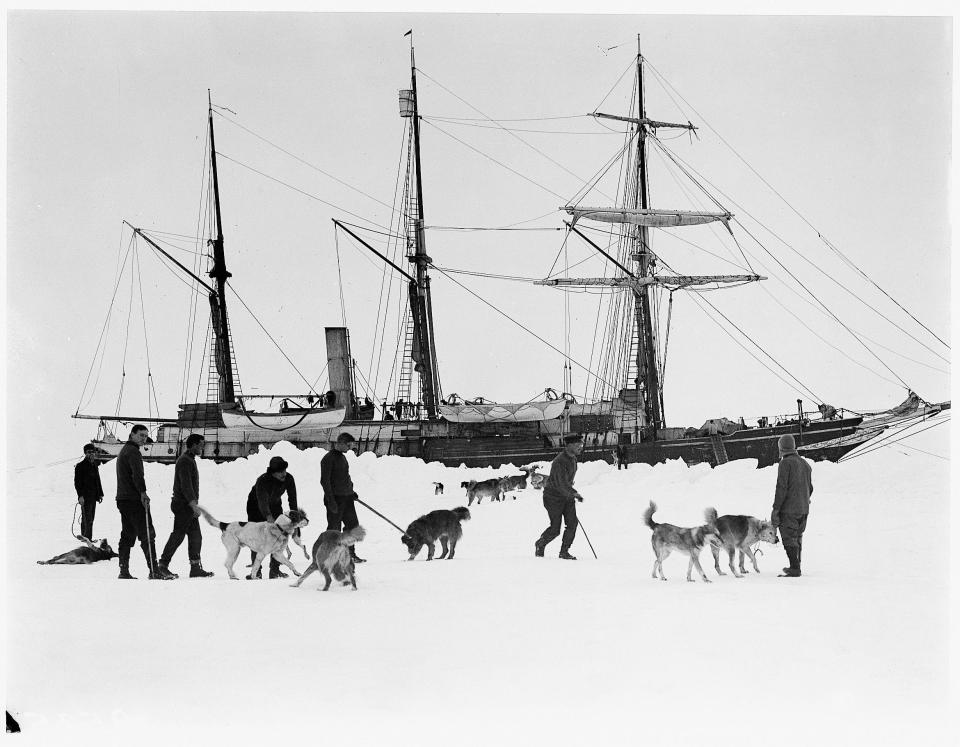  Crew members exercise their dogs after The Endurance became stuck fast in the ice