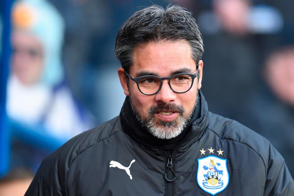  Huddersfield boss David Wagner ahead of kick off against Brighton