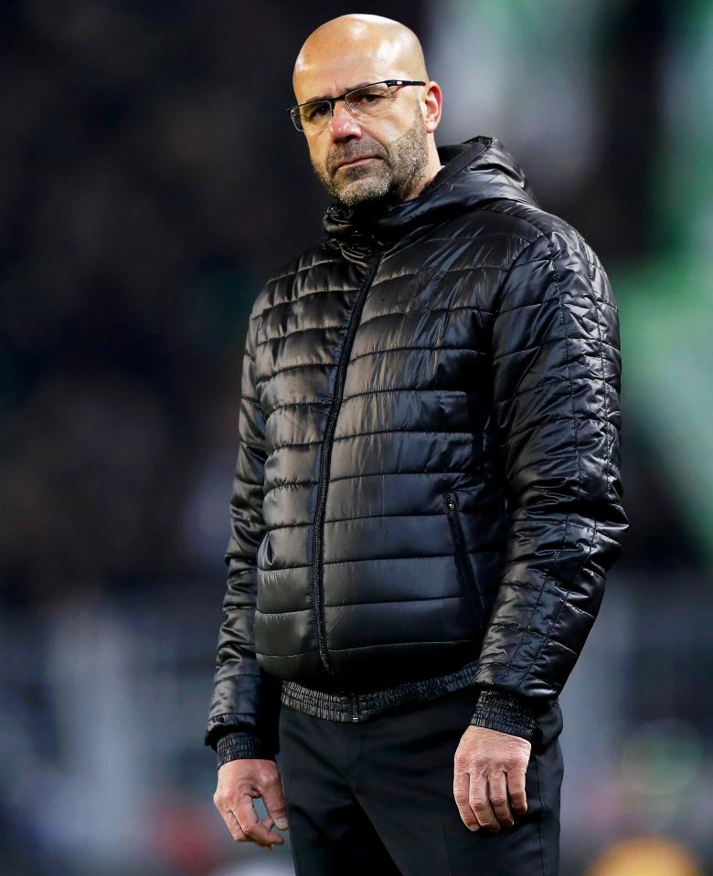  Peter Bosz has been sacked after just six months in charge at Borussia Dortmund