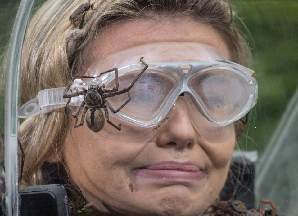  She screamed as spiders were poured into the box but refused to let Iain and Jamie down