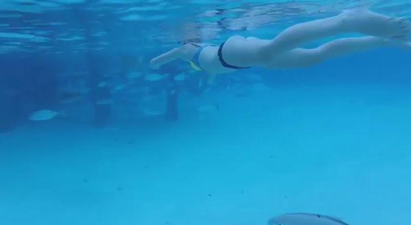  Evan used an underwater camera to film his wife snorkelling in the Caribbean Sea