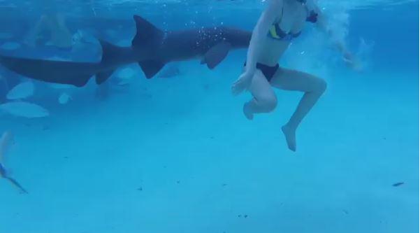  The shocked bride swims away as fast as she can